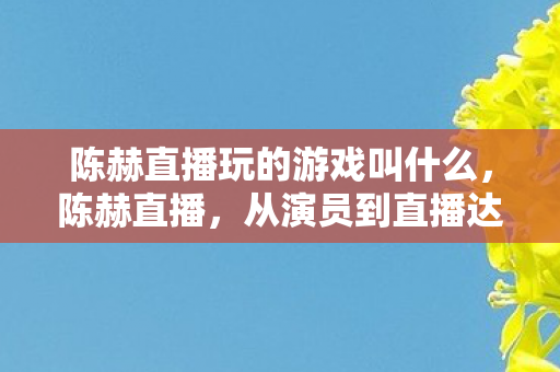 陈赫直播玩的游戏叫什么，陈赫直播，从演员到直播达人的跨界之旅