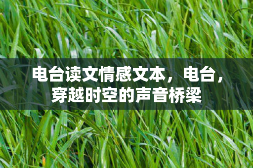 电台读文情感文本，电台，穿越时空的声音桥梁