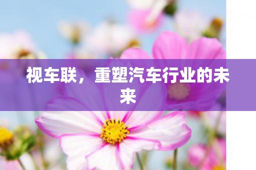 视车联，重塑汽车行业的未来