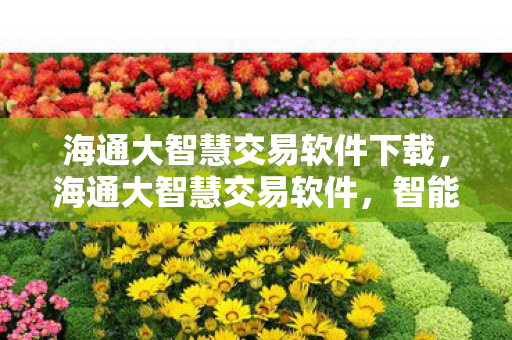 海通大智慧交易软件下载，海通大智慧交易软件，智能投资的新篇章