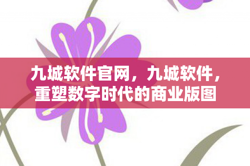 九城软件官网，九城软件，重塑数字时代的商业版图