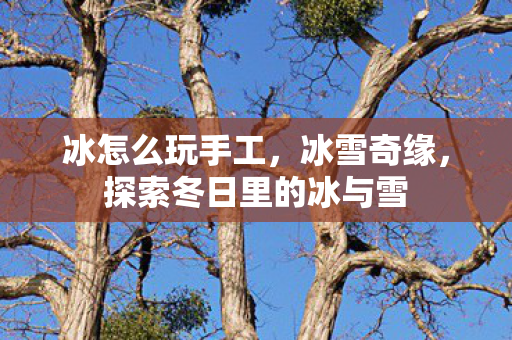 冰怎么玩手工，冰雪奇缘，探索冬日里的冰与雪