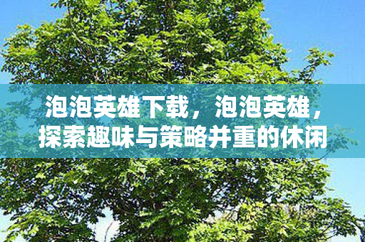 泡泡英雄下载，泡泡英雄，探索趣味与策略并重的休闲冒险之旅