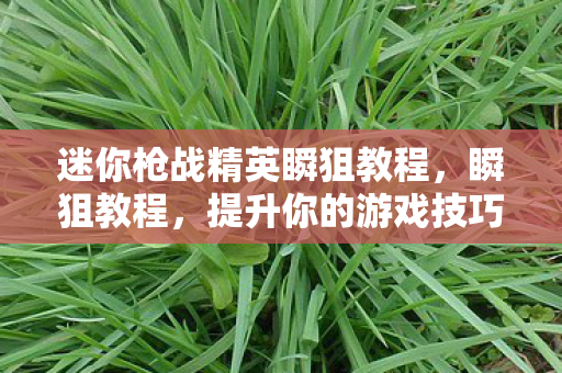 迷你枪战精英瞬狙教程，瞬狙教程，提升你的游戏技巧