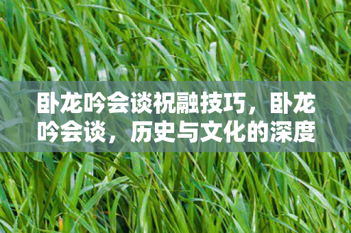 卧龙吟会谈祝融技巧，卧龙吟会谈，历史与文化的深度对话