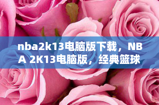 nba2k13电脑版下载，NBA 2K13电脑版，经典篮球游戏的回忆与体验