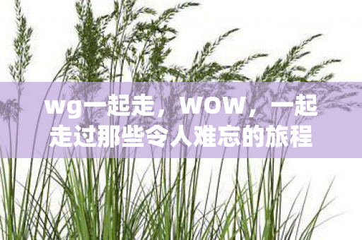 wg一起走，WOW，一起走过那些令人难忘的旅程