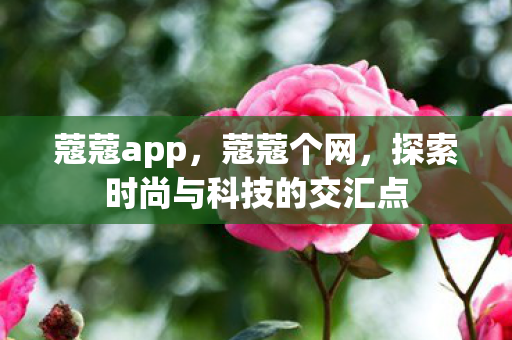 蔻蔻app，蔻蔻个网，探索时尚与科技的交汇点