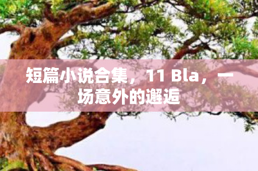 一场意外的邂逅图片