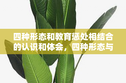 四种形态和教育惩处相结合的认识和体会，四种形态与教育惩处，构建健康组织的双轨策略