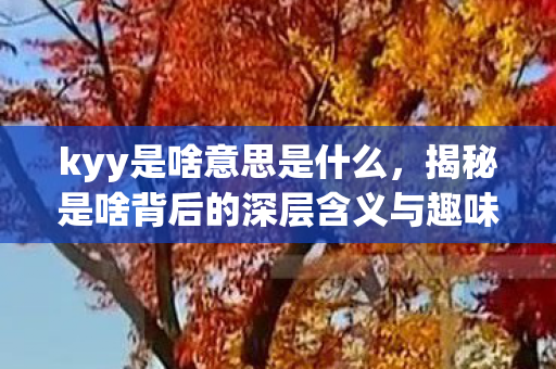 kyy是啥意思是什么，揭秘是啥背后的深层含义与趣味解读