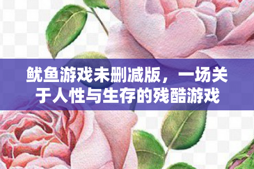 鱿鱼游戏未删减版，一场关于人性与生存的残酷游戏