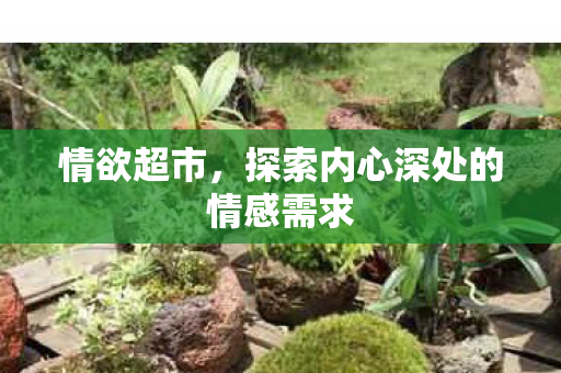 情欲超市，探索内心深处的情感需求