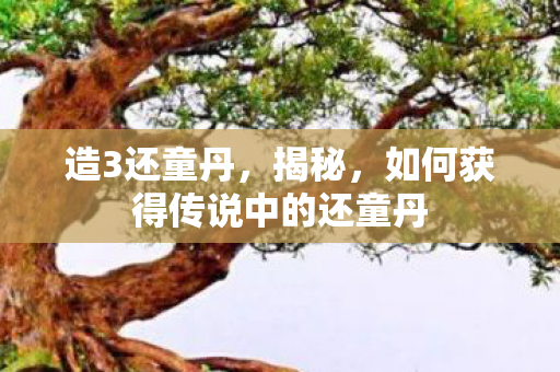 造3还童丹，揭秘，如何获得传说中的还童丹