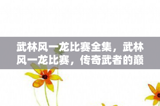 武林风一龙比赛全集图片