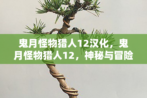 鬼月怪物猎人12汉化，鬼月怪物猎人12，神秘与冒险的交织