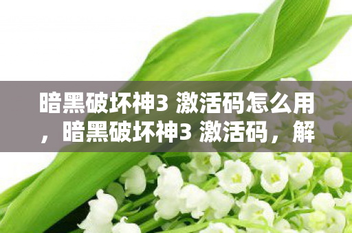 暗黑破坏神3 激活码怎么用，暗黑破坏神3 激活码，解锁游戏世界的钥匙