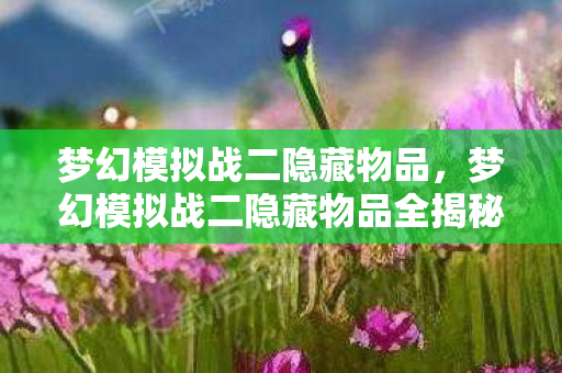 梦幻模拟战二隐藏物品全揭秘图片