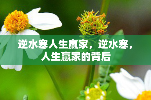 逆水寒人生赢家图片