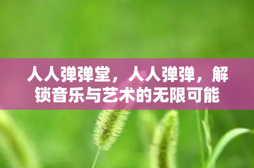 人人弹弹堂，人人弹弹，解锁音乐与艺术的无限可能