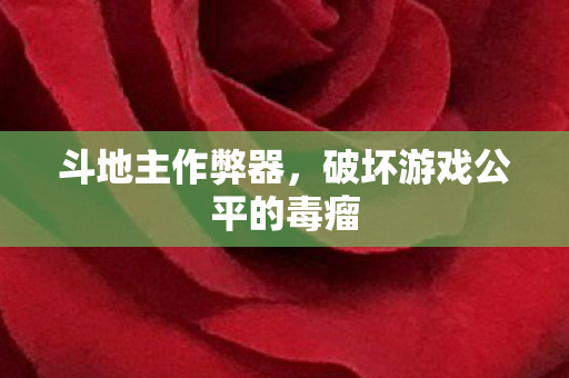 斗地主作弊器，破坏游戏公平的毒瘤
