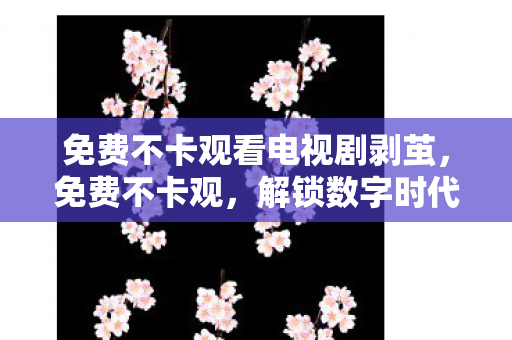 免费不卡观看电视剧剥茧，免费不卡观，解锁数字时代的流畅体验
