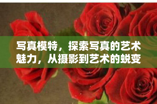 写真模特,探索写真的艺术魅力,从摄影到艺术的蜕变 写真模特,探索写真的艺术魅力,从摄影到艺术的蜕变