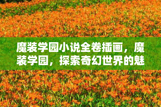 魔装学园小说全卷插画，魔装学园，探索奇幻世界的魅力