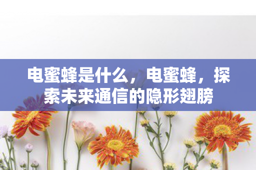 电蜜蜂是什么，电蜜蜂，探索未来通信的隐形翅膀