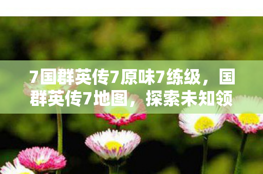 7国群英传7原味7练级，国群英传7地图，探索未知领域的奇幻之旅