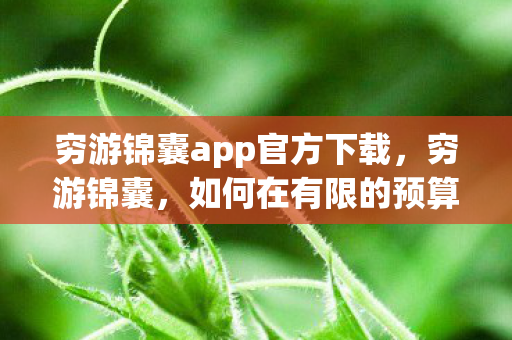 穷游锦囊app官方下载，穷游锦囊，如何在有限的预算下玩转全球