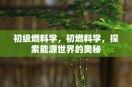 初级燃料学，初燃料学，探索能源世界的奥秘