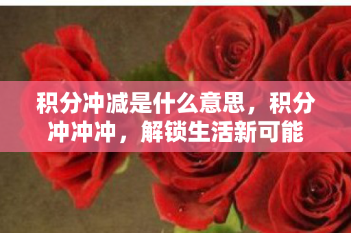积分冲减是什么意思,积分冲冲冲,解锁生活新可能 积分冲减是什么意思,积分冲冲冲,解锁生活新可能