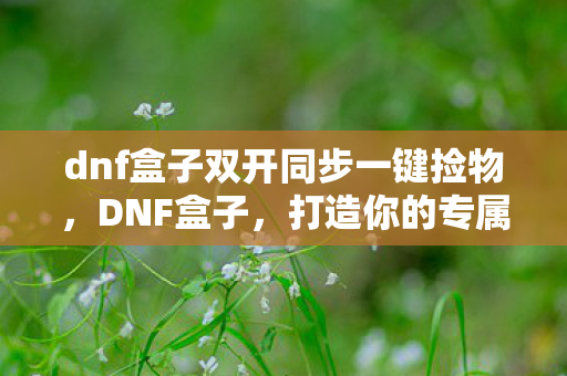 dnf盒子双开同步一键捡物，DNF盒子，打造你的专属神器，解锁无限可能