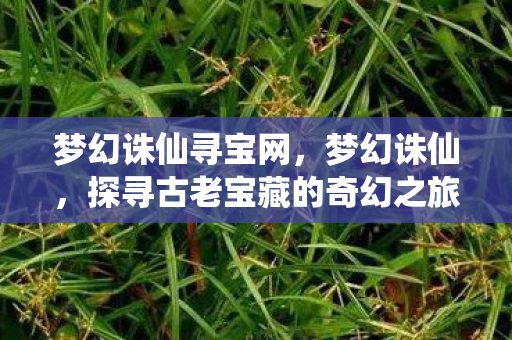 梦幻诛仙寻宝网，梦幻诛仙，探寻古老宝藏的奇幻之旅