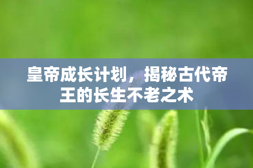 皇帝成长计划，揭秘古代帝王的长生不老之术
