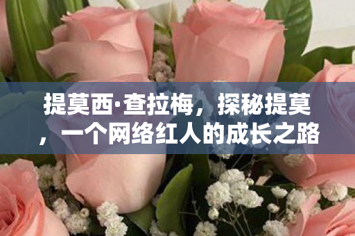 提莫西·查拉梅，探秘提莫，一个网络红人的成长之路