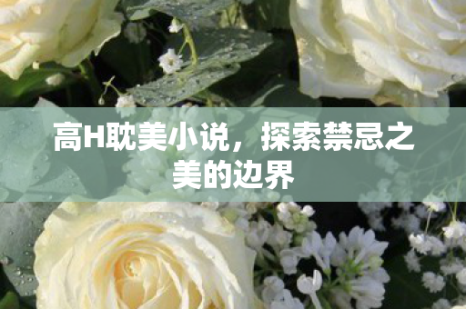 高H耽美小说,探索禁忌之美的边界 高H耽美小说,探索禁忌之美的边界