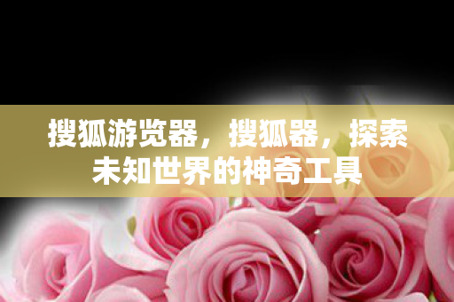 搜狐游览器，搜狐器，探索未知世界的神奇工具