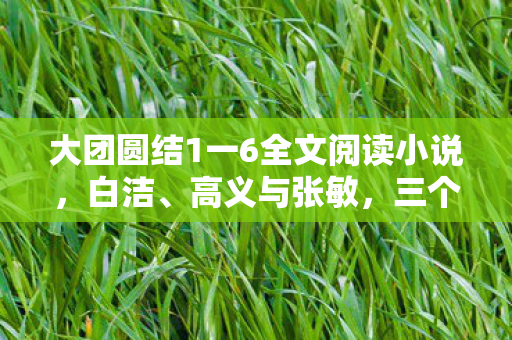 大团圆结1一6全文阅读小说，白洁、高义与张敏，三个名字背后的故事