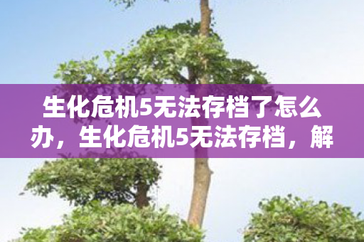 生化危机5无法存档了怎么办图片