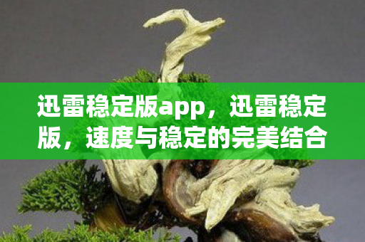 迅雷稳定版app,迅雷稳定版,速度与稳定的完美结合 迅雷稳定版app,迅雷稳定版,速度与稳定的完美结合
