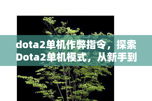 dota2单机作弊指令，探索Dota2单机模式，从新手到高手的全方位指南