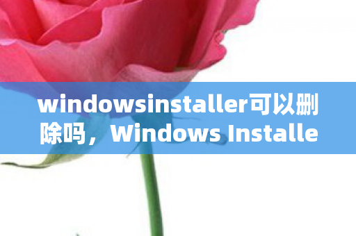 windowsinstaller可以删除吗,Windows Installer,深入了解微软的安装技术 windowsinstaller可以删除吗,Windows Installer,深入了解微软的安装技术