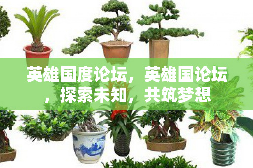 英雄国度论坛，英雄国论坛，探索未知，共筑梦想