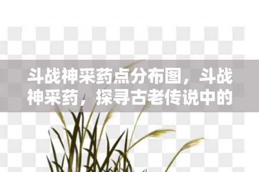 斗战神采药点分布图，斗战神采药，探寻古老传说中的神秘草药