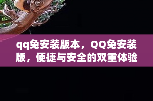 qq免安装版本，QQ免安装版，便捷与安全的双重体验