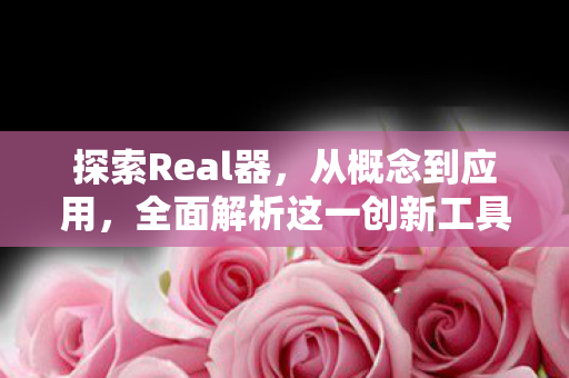 探索Real器，从概念到应用，全面解析这一创新工具