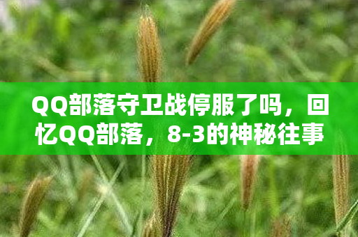 QQ部落守卫战停服了吗，回忆QQ部落，8-3的神秘往事