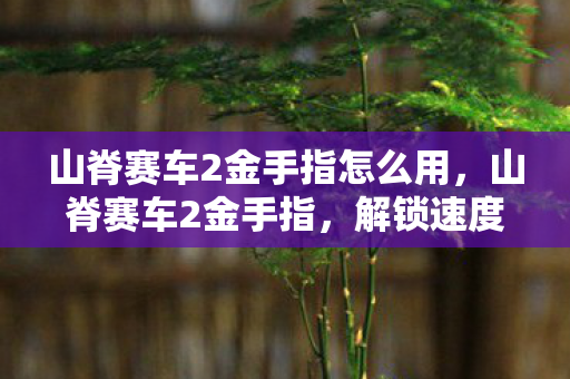 山脊赛车2金手指怎么用,山脊赛车2金手指,解锁速度与激情的秘籍 山脊赛车2金手指怎么用,山脊赛车2金手指,解锁速度与激情的秘籍